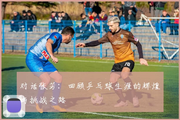 对话张芳：回顾乒乓球生涯的辉煌与挑战之路