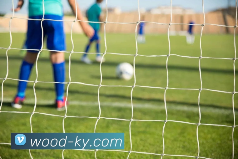 开云，kaiyun平台生态图